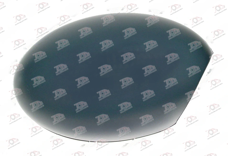 Poklopac Retrovizora PM MINI Cooper 2002-2006 - DESNO — Mini Cooper/One (R50)