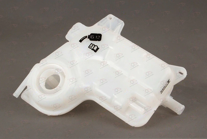 Posuda za Antifriz (sa Izlaznom Cevi) (2.0/3.0 Benzin - 1.9tdi) Audi A4 2001-2005 — Audi A4 (B6) (2001–2005.)